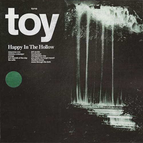 TOY - HAPPY IN THE HOLLOWTOY - HAPPY IN THE HOLLOW.jpg